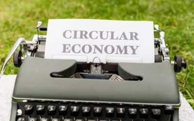 Circular Economy Pioneers: A Look at the Top-Ranked Businesses in Saudi Arabia